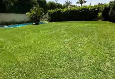 فلل للإيجار - 4 غرف