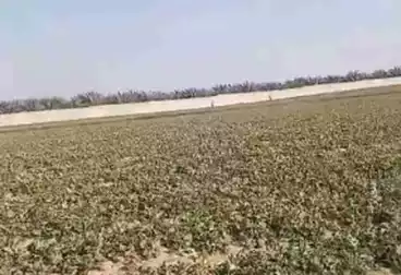 Farm For sale
