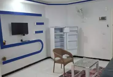 ستوديو للإيجار - 1 غرف - بالدور 2