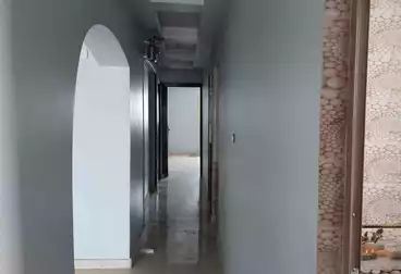 Apartments For rent - 3 rooms - floor 11