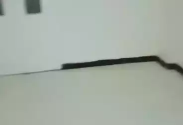 Apartments For rent - 3 rooms - floor 1