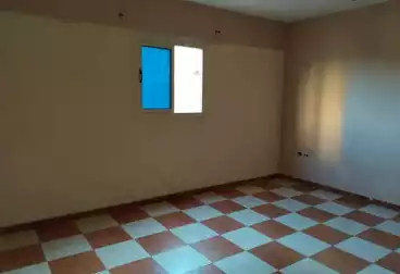 Apartments For rent - 2 rooms - floor 3
