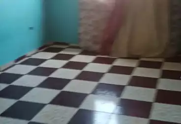 شقق للبيع - 2 غرف - بالدور 6