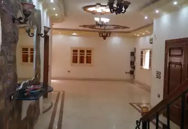 إداري للإيجار - 7 غرف - بالدور 0