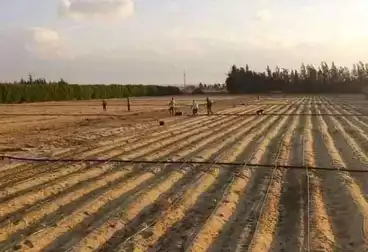 عقارات للبيع