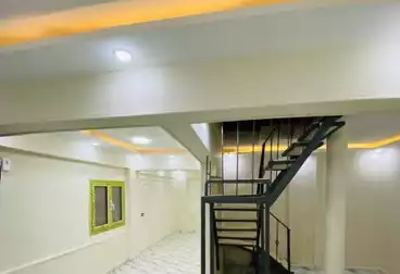 undefined undefined - 3 rooms - floor 1