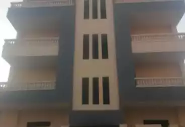 شقق للبيع - 3 غرف - بالدور 2