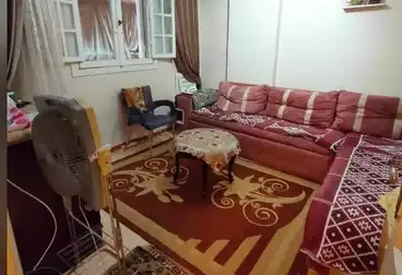 شقق للبيع - 3 غرف - بالدور 3