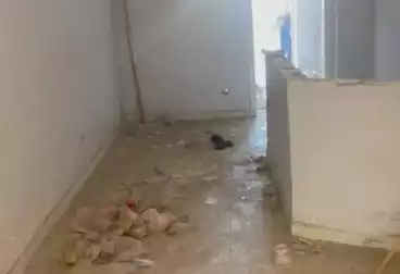 Apartments For sale - 1 rooms - floor 7