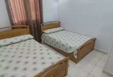 Apartments For rent - 2 rooms - floor 3