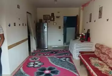 شقق للبيع - 2 غرف - بالدور 2