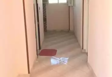 Roof For rent - 2 rooms - floor 7