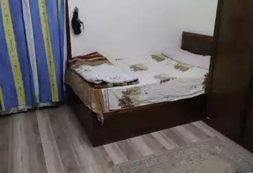 شقق مفروشة للإيجار - 3 غرف - بالدور 1