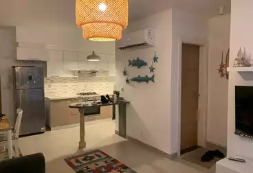 Apartments For rent - 1 rooms - floor 2