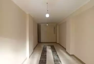Apartments For rent - 3 rooms - floor 3
