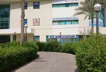عيادات للإيجار - 3 غرف - بالدور 2