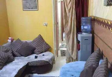 عقارات للبيع - 2 غرف - بالدور 2