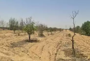 Residential Land For sale