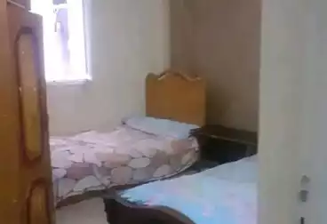 شقق مفروشة للإيجار - 2 غرف - بالدور 1