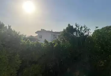 Land For rent