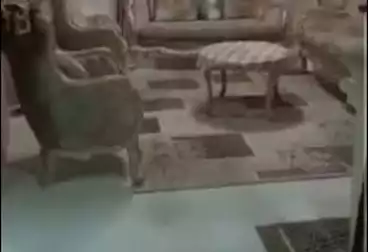 Apartments For sale - 3 rooms - floor 11