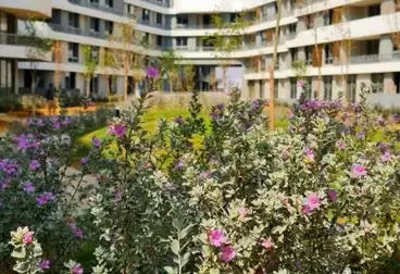 Apartment للبيع