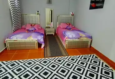 شقق للبيع - 3 غرف - بالدور 7