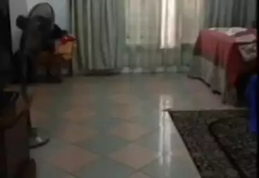 undefined undefined - 3 rooms - floor 3
