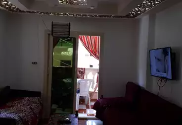 شقق مفروشة للإيجار - 2 غرف - بالدور 2