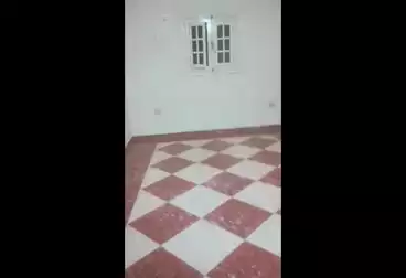 Apartments For rent - 3 rooms - floor 5