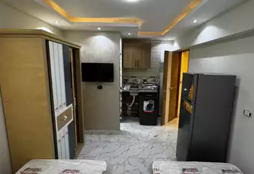 Apartments For rent - 1 rooms - floor 3