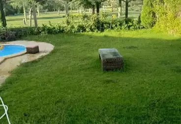 Villas For sale - 5 rooms