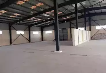 مصنع للإيجار