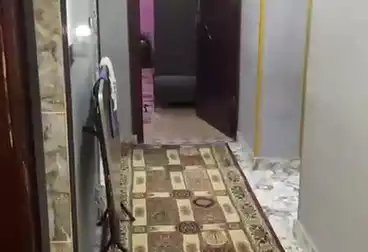 شقق للبيع - 2 غرف - بالدور 1