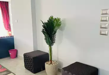 Furnished Apartment For rent - 3 rooms - floor 2