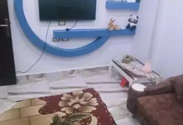 شقق للبيع - 3 غرف - بالدور 6