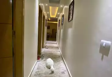 Apartments For rent - 3 rooms - floor 0