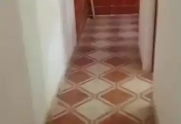 undefined undefined - 3 rooms - floor 7