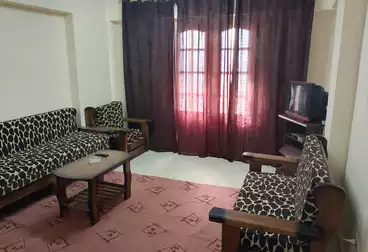 Properties For rent - 2 rooms - floor 5
