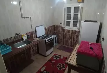 عقارات للإيجار - 3 غرف - بالدور 1