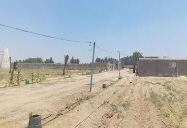 أرض زراعية للبيع