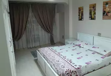 Furnished Apartment For rent - 2 rooms - floor 125