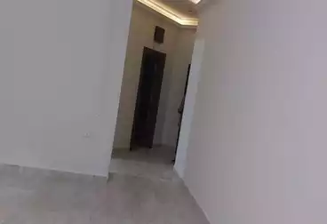 شقق للإيجار - 2 غرف - بالدور 0