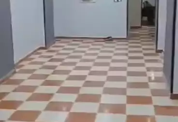 شقق للبيع - 2 غرف - بالدور 1