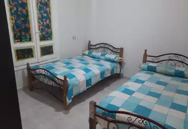 عقارات للإيجار - 1 غرف - بالدور 2