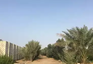 Farm For sale