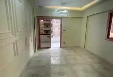 شقق للبيع - 2 غرف - بالدور 3