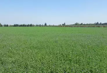 Farm For sale