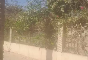 عقارات للبيع