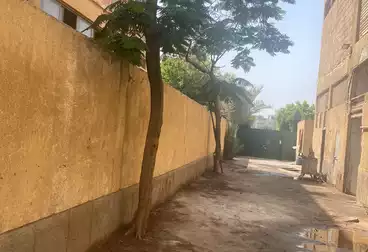 Building For rent